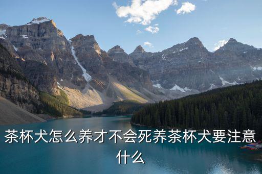 茶杯犬怎么養(yǎng),茶杯犬怎么養(yǎng)才不會死?一文看懂