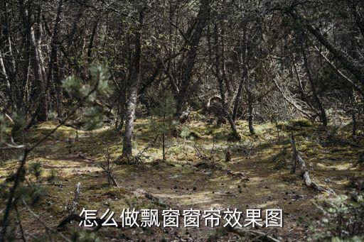 怎么做飄窗窗簾效果圖
