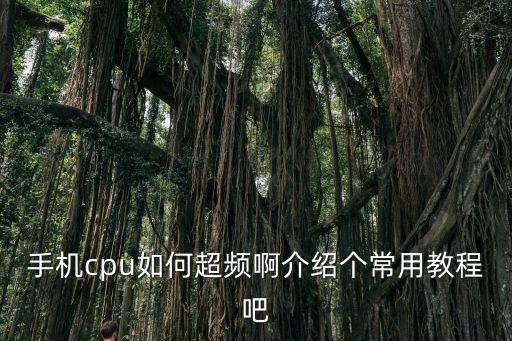 手機cpu如何超頻啊介紹個常用教程吧