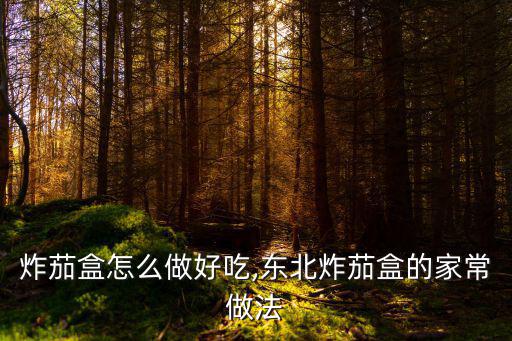 炸茄盒怎么做好吃,東北炸茄盒的家常做法