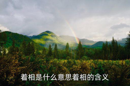 著相是什么意思著相的含義