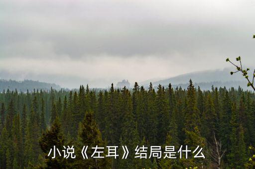 小說《左耳》結局是什么