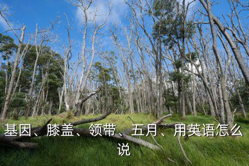 基因、膝蓋、領帶、五月、用英語怎么說