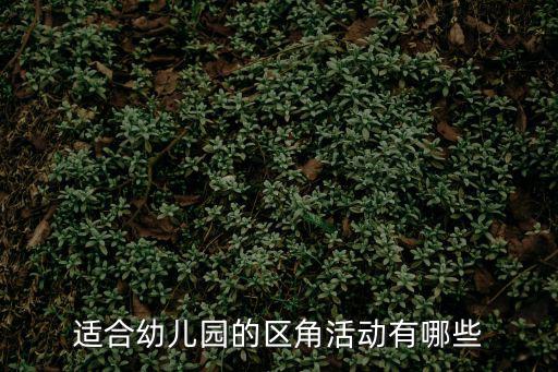 幼兒園區(qū)域活動(dòng)，適合幼兒園的區(qū)角活動(dòng)有哪些