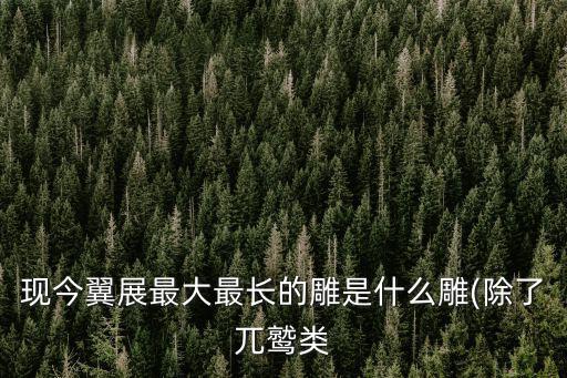 現(xiàn)今翼展最大最長的雕是什么雕(除了兀鷲類