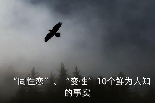 帥老同性教授,石墻運動被視為西方現代同性戀權利運動開始