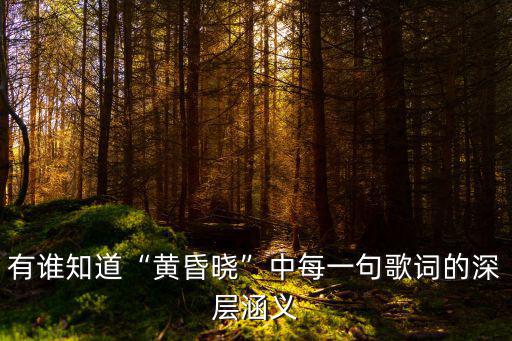 黃昏曉歌詞,王心凌有首歌叫《黃昏曉》有誰知道深層涵義?