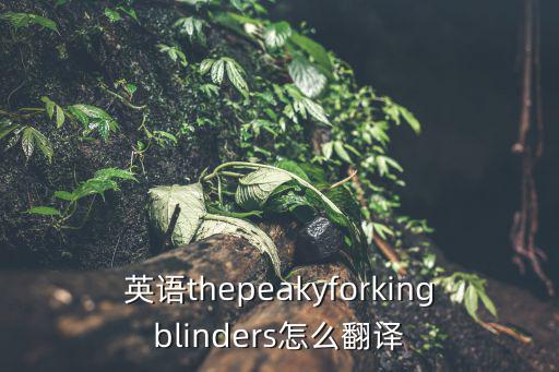 眼罩英文,英語怎么翻譯?高手進全文翻譯
