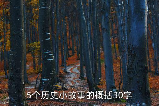 5個歷史小故事的概括30字