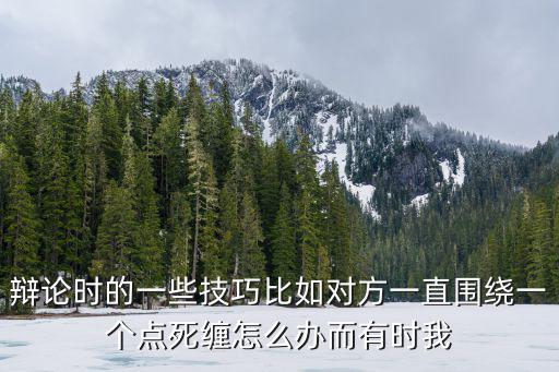 辯論時的一些技巧比如對方一直圍繞一個點死纏怎么辦而有時我