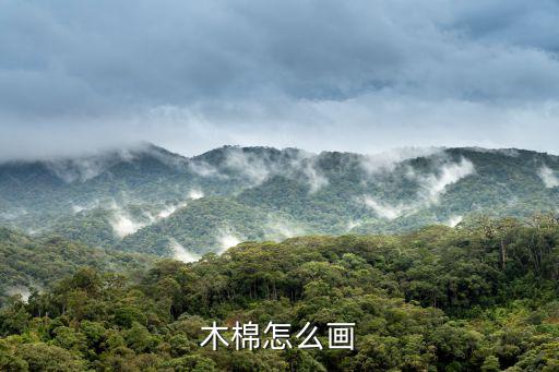 枕頭簡(jiǎn)筆畫,床簡(jiǎn)筆畫步驟圖解教程:木棉花怎么畫床的步驟