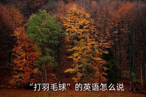 “打羽毛球”的英語怎么說