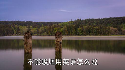 抽煙用英語怎么說,香煙是怎么一回事