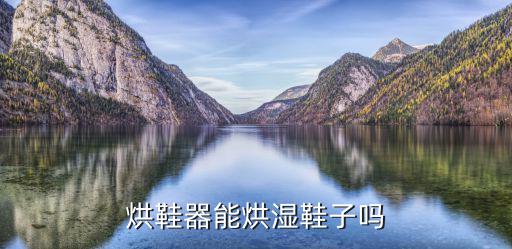 烘鞋器能烘濕鞋子嗎