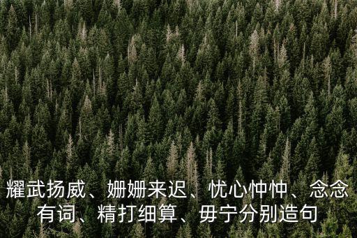耀武揚威、姍姍來遲、憂心忡忡、念念有詞、精打細算、毋寧分別造句