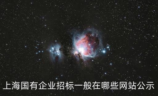 上海市政府官網上海發布，上海國有企業招標一般在哪些網站公示