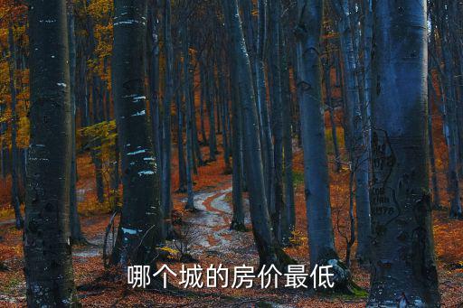 哪個(gè)城的房價(jià)最低