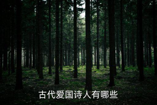 愛國詩人,中國古代愛國詩人有哪些?