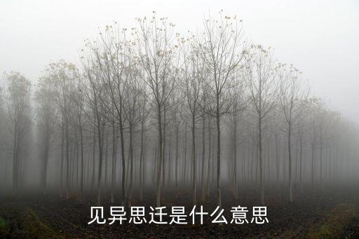 見異思遷的意思,見異思遷是什么你好?