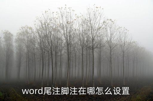 word尾注腳注在哪怎么設置