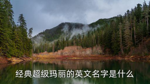 經(jīng)典超級(jí)瑪麗的英文名字是什么
