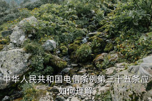 中華人民共和國電信條例第三十五條應如何理解