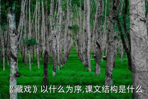 藏戲課文,《藏戲》藏戲文化