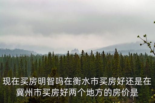 衡水哪個縣房價最值得投資，衡水武邑縣的房價最好首付和以后每月還多少都說一下一百平百度知