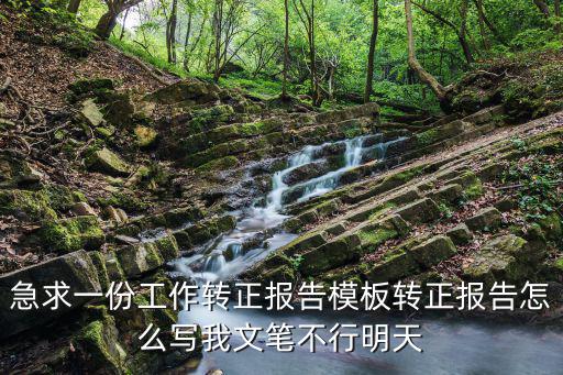 急求一份工作轉正報告模板轉正報告怎么寫我文筆不行明天