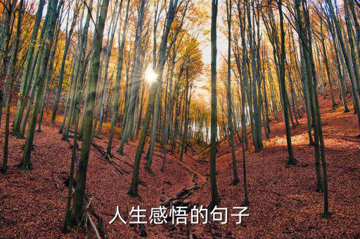 感想感悟的句子,笑對坎坷是人類精神的升華