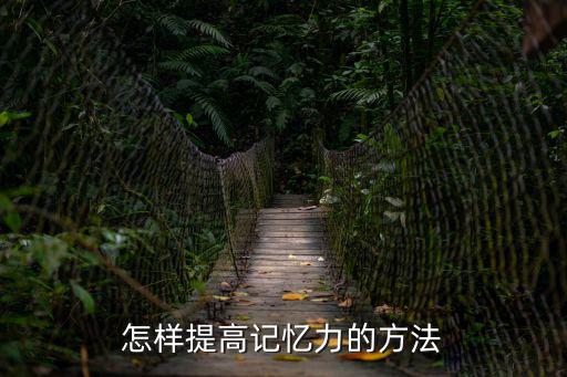 怎樣提高記憶力的方法
