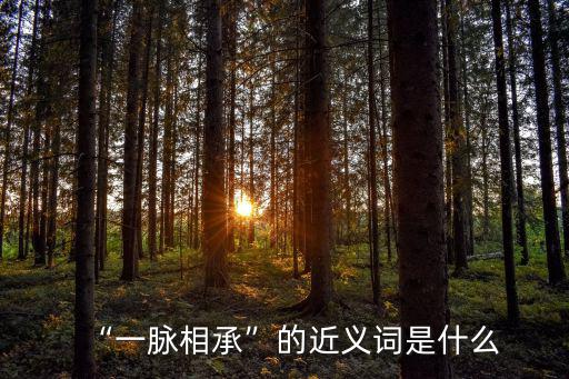一脈相承的意思是,一脈相承指什么意思?