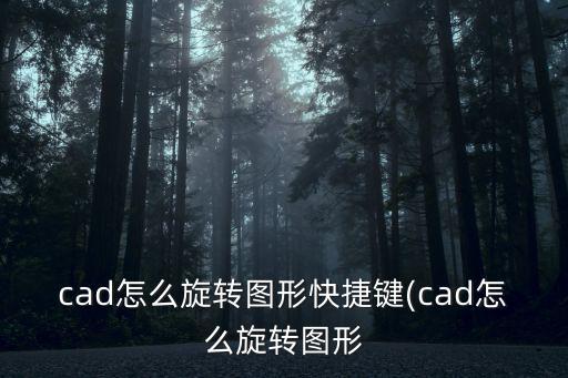 cad怎么旋轉圖形快捷鍵(cad怎么旋轉圖形