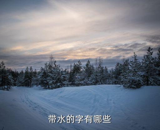 帶水的字有哪些