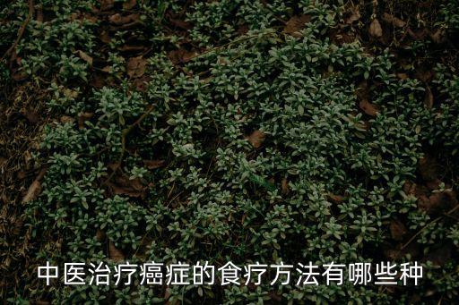 中醫(yī)治療癌癥,中醫(yī)治療癌癥的食療方法