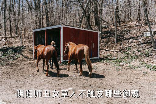 丑女帶什么御魂,r卡式神推薦搭配什么樣的御魂?