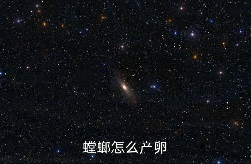 螳螂卵,正確方法保存好每個春天里的千多枚螳螂卵