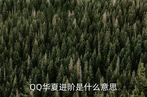 進階是什么意思,沒進階的人打你，部分技能對你無效