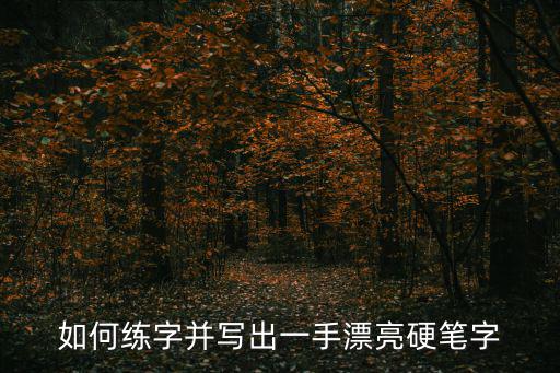 如何練字并寫出一手漂亮硬筆字