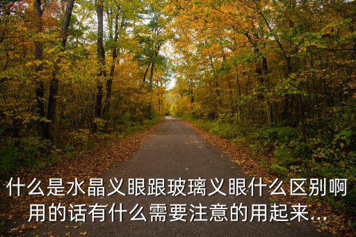 什么是義眼,義眼片指什么?答（13）