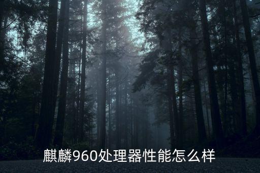 麒麟960,華為麒麟960搭載在華為mate9上