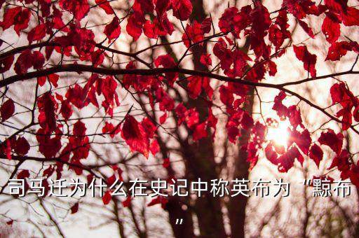 司馬遷為什么在史記中稱英布為“黥布”