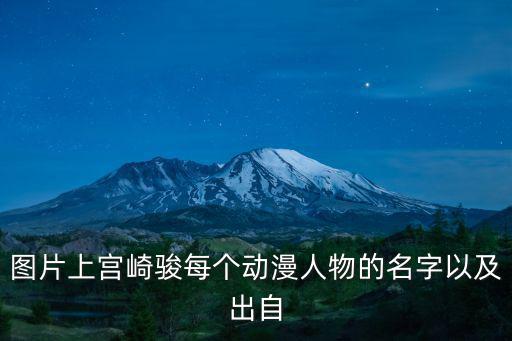 龍貓動漫圖片,二次元動漫:龍貓和倉鼠比較像嗎?