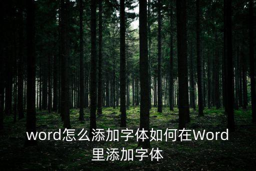 word怎么添加字體如何在Word里添加字體
