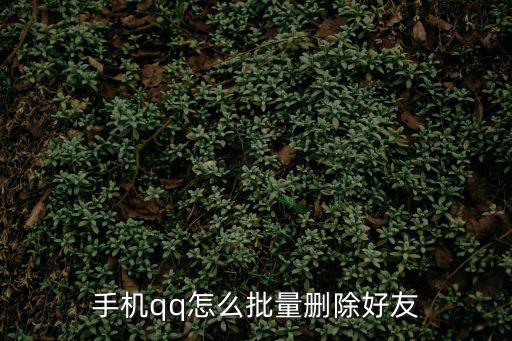 手機qq怎么批量刪除好友