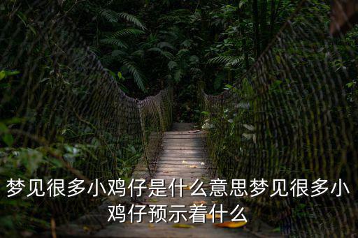 夢(mèng)見很多小雞仔是什么意思?jí)粢姾芏嘈‰u仔預(yù)示著什么