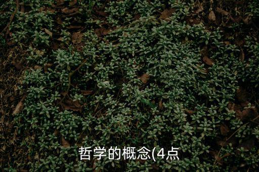 哲學概念,哲學是什么?