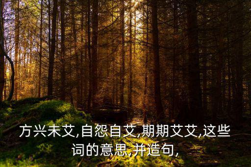 方興未艾,自怨自艾,期期艾艾,這些詞的意思,并造句,