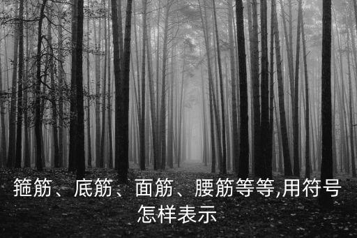 箍筋、底筋、面筋、腰筋等等,用符號怎樣表示
