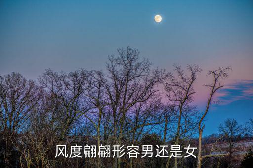 風度翩翩的意思,什么是風度翩翩?看這里!